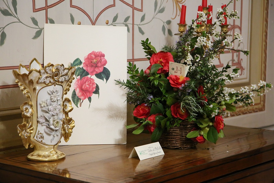 in palazzo paterno caserta mostra camelie