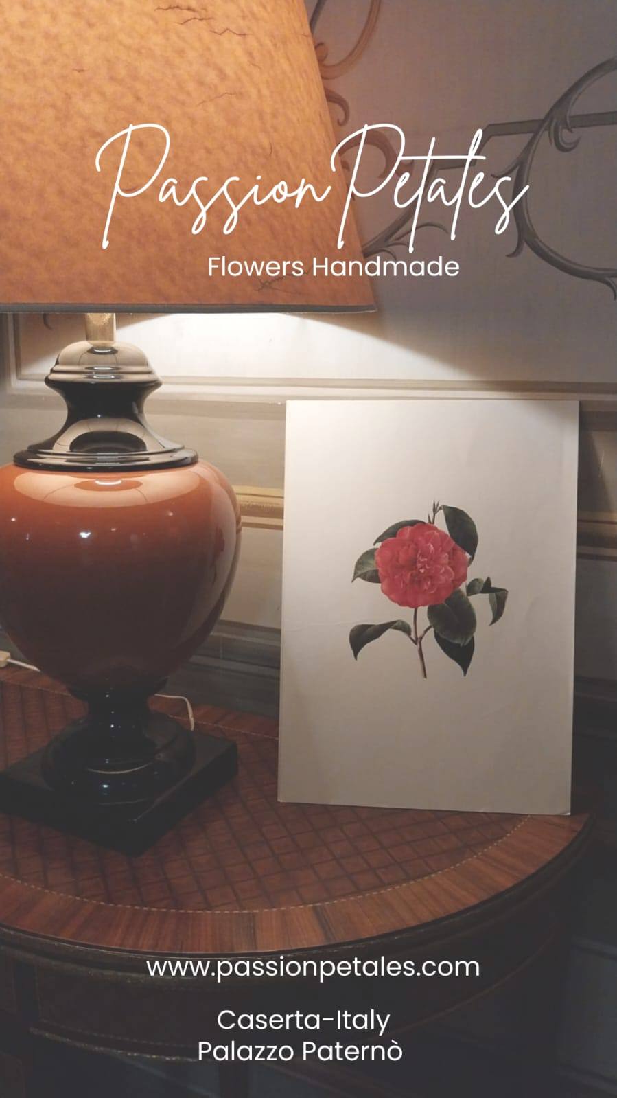 palazzo paterno caserta mostra camelie