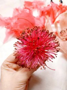 Pistillo di papavero realizzato a pallina