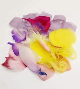 Composizione di petali in seta pura
