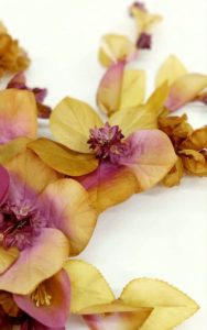 Dettaglio tralcio floreale vintage seta pura