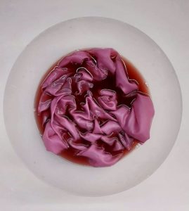 Ecosostenibilità seta tintura naturale uva